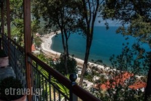 Hotel Marabou_holidays_in_Hotel_Thessaly_Magnesia_Zagora