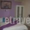 Maistrali Studios_best prices_in_Hotel_Central Greece_Evia_Artemisio