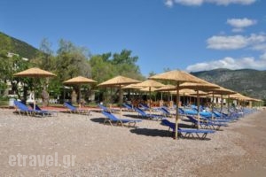 Apollon Hotel_travel_packages_in_Peloponesse_Argolida_Archea (Palea) Epidavros