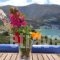 Amorgi Studios_best prices_in_Hotel_Cyclades Islands_Amorgos_Amorgos Chora