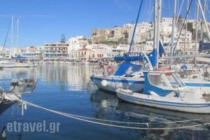 Villa Danai_accommodation_in_Villa_Cyclades Islands_Naxos_Naxos chora