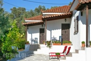 Trikeri Villas_best prices_in_Villa_Thessaly_Magnesia_Almiros