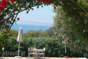 Asteris Village_accommodation_in_Hotel_Macedonia_Halkidiki_Poligyros