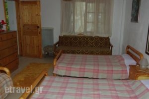 Elati Apartments_best deals_Apartment_Thessaly_Trikala_Elati