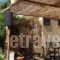 Manine Apartments_best deals_Apartment_Dodekanessos Islands_Kos_Kos Chora