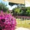 Artemis Pansion_best deals_Hotel_Ionian Islands_Zakinthos_Laganas