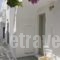 Blue Jasmin_travel_packages_in_Cyclades Islands_Paros_Naousa