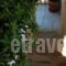 Manolis Maria Flitzani Studios_holidays_in_Hotel_Aegean Islands_Ikaria_Ikaria Chora