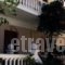 Manolis Maria Flitzani Studios_travel_packages_in_Aegean Islands_Ikaria_Ikaria Chora