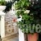 Manolis Maria Flitzani Studios_accommodation_in_Hotel_Aegean Islands_Ikaria_Ikaria Chora