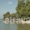 Alterra Vita_best deals_Hotel_Macedonia_Halkidiki_Neos Marmaras