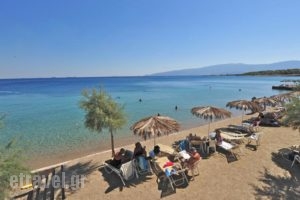 Hotel King Saron_travel_packages_in_Peloponesse_Korinthia_Korinthos