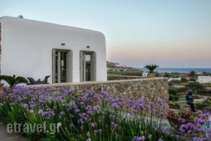 Villa Argy_accommodation_in_Villa_Cyclades Islands_Mykonos_Mykonos ora