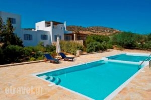 Villa Afroditi_accommodation_in_Villa_Cyclades Islands_Antiparos_Antiparos Chora