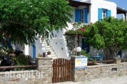 Studios Petra in Skiathos Chora, Skiathos, Sporades Islands