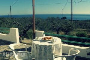 Studios Crete_accommodation_in_Hotel_Crete_Lasithi_Ierapetra