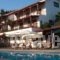 Angelina Studios_accommodation_in_Hotel_Sporades Islands_Skiathos_Skiathoshora