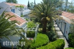 Aegeon Hotel in Zakinthos Rest Areas, Zakinthos, Ionian Islands