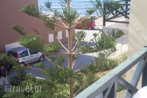 Stella Apartments_best prices_in_Apartment_Crete_Heraklion_Vathianos Kambos