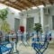 Filenia_holidays_in_Hotel_Piraeus Islands - Trizonia_Hydra_Hydra Chora