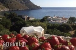 Alkyonis Apartments in  Stoupa, Messinia, Peloponesse