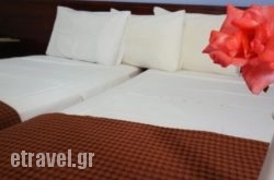 Hotel Lux in Spetses Chora, Spetses, Piraeus Islands - Trizonia