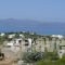 Villa Harmonia_best prices_in_Villa_Cyclades Islands_Naxos_Naxos Chora