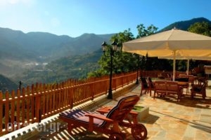 Archontiko Metsovou Luxury Boutique Hotel_best prices_in_Hotel_Epirus_Ioannina_Metsovo