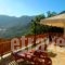 Archontiko Metsovou Luxury Boutique Hotel_best prices_in_Hotel_Epirus_Ioannina_Metsovo