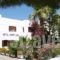 Amaryllis Hotel_accommodation_in_Hotel_Cyclades Islands_Sandorini_Emborio