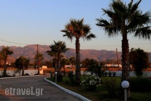 Anthia Apartments_holidays_in_Apartment_Dodekanessos Islands_Kos_Marmari