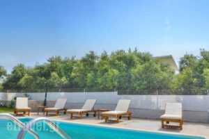 Dermitzogianni Villa_best deals_Villa_Crete_Chania_Kissamos