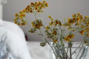 Cyclades Rooms_holidays_in_Room_Cyclades Islands_Antiparos_Antiparos Chora