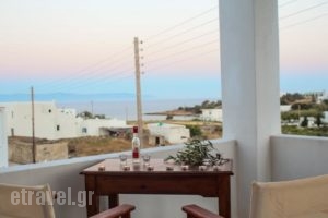 Nicos Studios & Apartments_best deals_Apartment_Cyclades Islands_Paros_Paros Chora