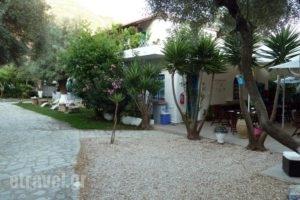 Oceanis Rooms_accommodation_in_Room_Ionian Islands_Kefalonia_Fiskardo