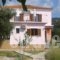 Vassilis Studios_accommodation_in_Hotel_Aegean Islands_Lesvos_Anaxos