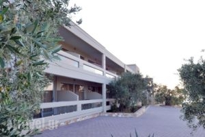 Aeolis Thassos Palace_best prices_in_Hotel_Macedonia_Kavala_Kavala City