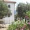 Kavoulakos Studios_accommodation_in_Hotel_Peloponesse_Lakonia_Gerolimenas