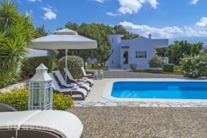 Villa Plumeria Flower_best prices_in_Villa_Crete_Chania_Akrotiri