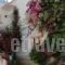 Villa Elizea_best deals_Villa_Crete_Chania_Agia Marina