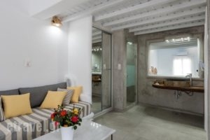 Villa Konstantin_accommodation_in_Villa_Cyclades Islands_Mykonos_Mykonos ora