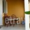 Athina Apartments_best deals_Apartment_Ionian Islands_Corfu_Arillas