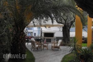 Studios Apollon_best deals_Hotel_Aegean Islands_Thasos_Thasos Chora