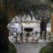 Studios Apollon_best deals_Hotel_Aegean Islands_Thasos_Thasos Chora