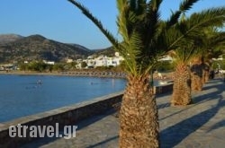 Angelino Rooms in Trizonia Rest Areas, Trizonia, Piraeus Islands - Trizonia