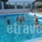 Apartments Naxos Camping_best deals_Apartment_Cyclades Islands_Naxos_Naxos chora