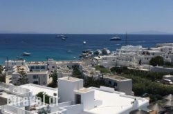 The George in Psarou, Mykonos, Cyclades Islands