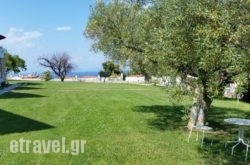 Amparoudes in Tinos Rest Areas, Tinos, Cyclades Islands