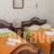 Manolis Maria Flitzani Studios_best deals_Hotel_Aegean Islands_Ikaria_Ikaria Chora